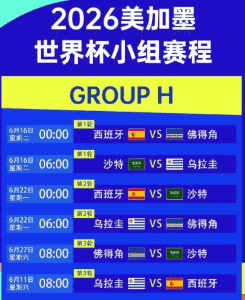 世界杯在线直播画面